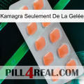 Kamagra Seulement De La Gelée 26